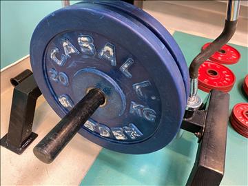 2st Viktskivor Casall 20kg