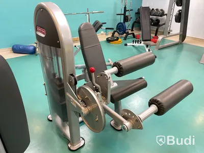 Ben Curl Star Trac Instinct viktmag upp til 86 KG