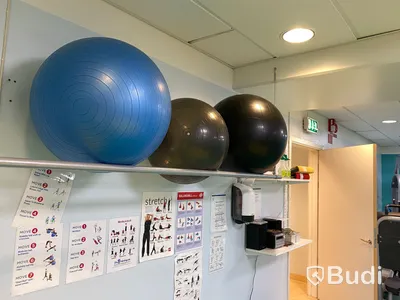 Div träningsutrustning, stepbräda, pilatesbollar ink väggställning m.m.