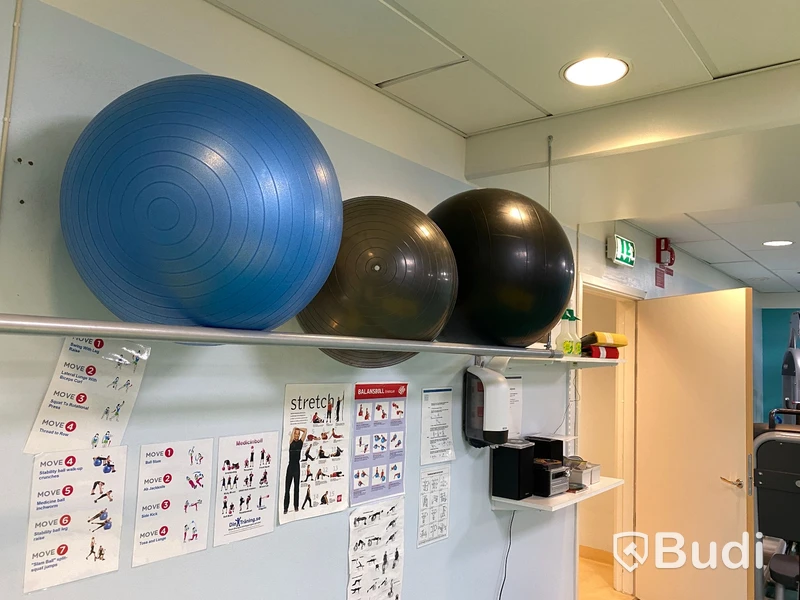 Div träningsutrustning, stepbräda, pilatesbollar ink väggställning m.m.