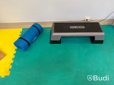 Div träningsutrustning, stepbräda, pilatesbollar ink väggställning m.m.
