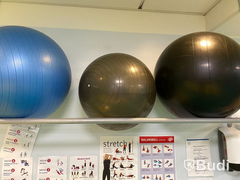 Div träningsutrustning, stepbräda, pilatesbollar ink väggställning m.m.