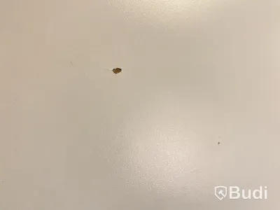 Höj- och sänkbart skrivbord Ikea Bekant, inkl. kontorsstol, skärm och skrivbordslampa