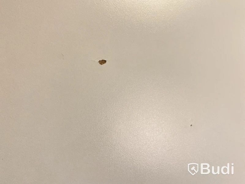 Höj- och sänkbart skrivbord Ikea Bekant, inkl. kontorsstol, skärm och skrivbordslampa