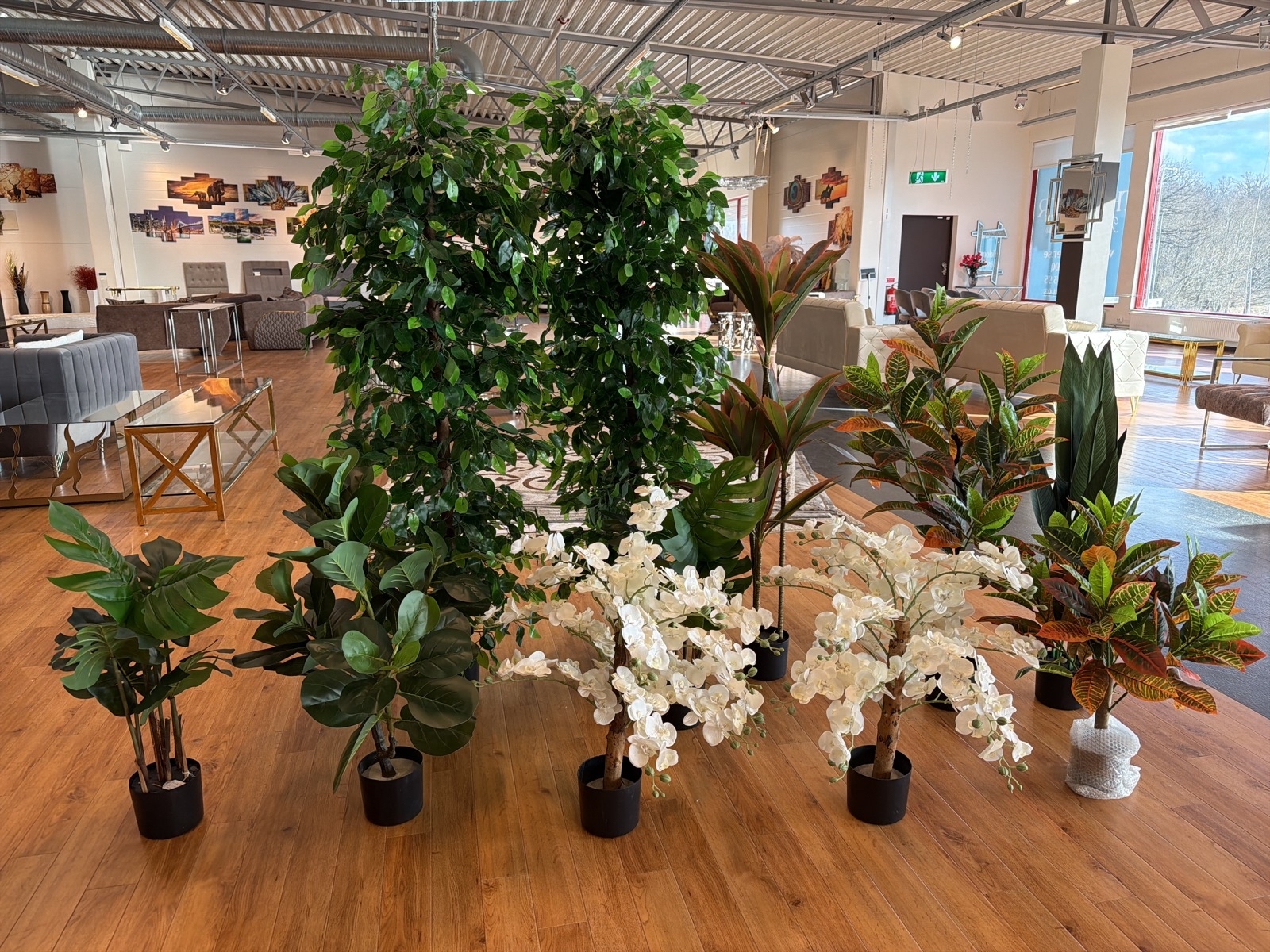 10 st konstväxter, 70-180 cm