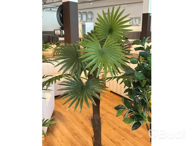 7 st konstväxter, 70-180 cm