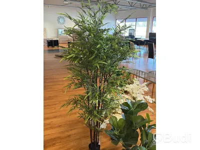 7 st konstväxter, 70-180 cm