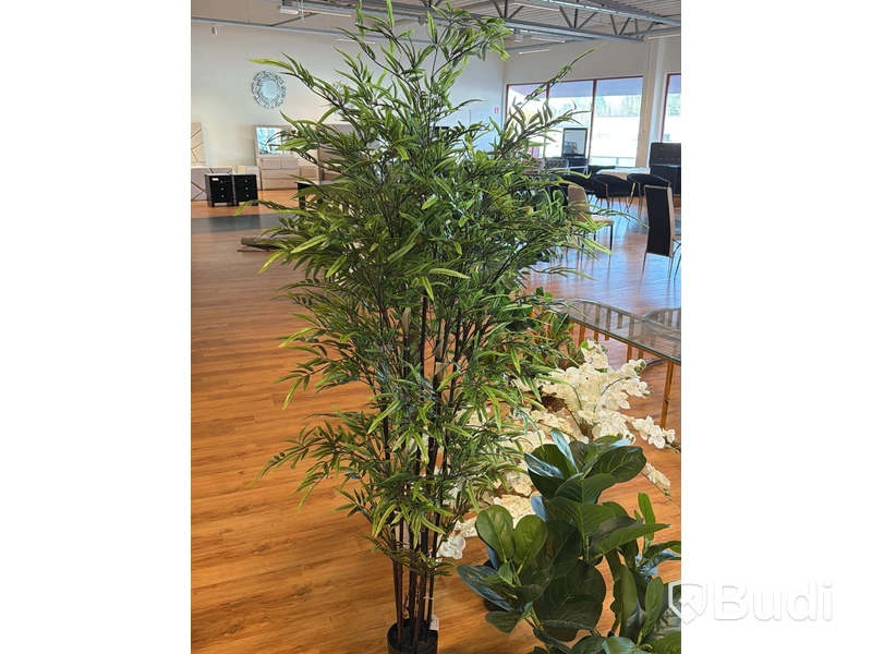 7 st konstväxter, 70-180 cm