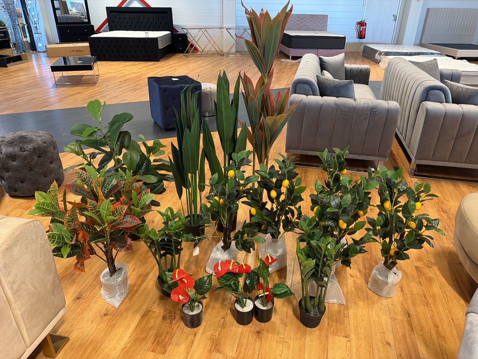 15 st konstväxter, 30-140 cm