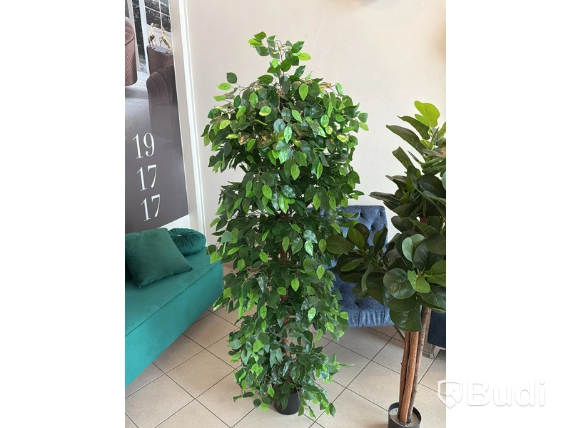 5 st konstväxter, 110-180 cm