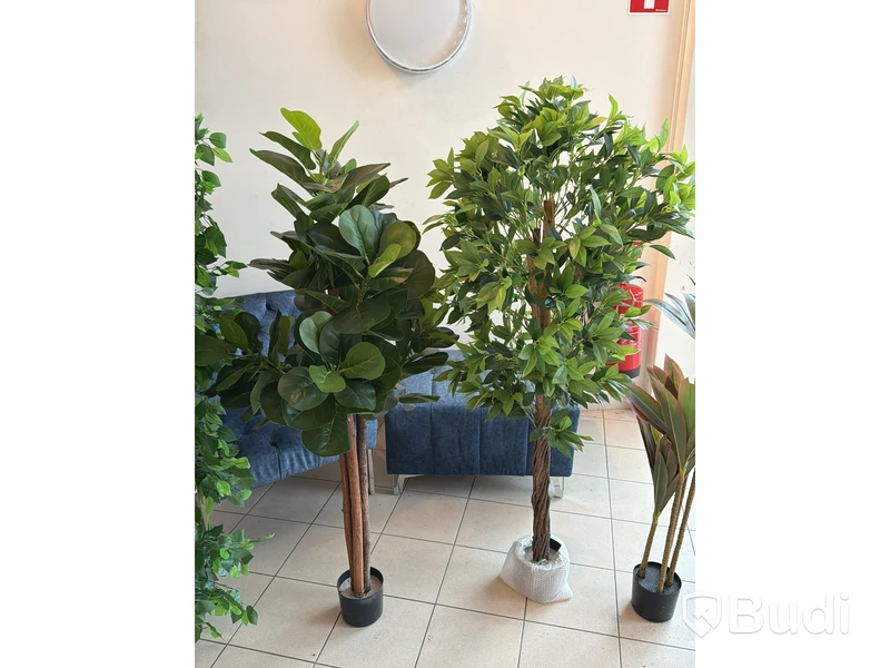 5 st konstväxter, 110-180 cm