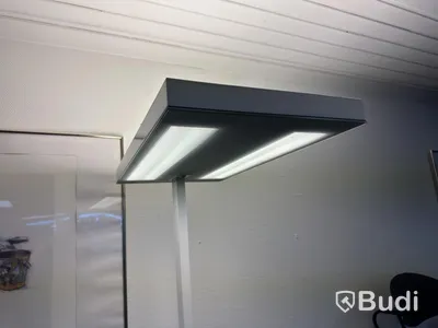 Floor Lamp Luxo 7353-455, 455 W