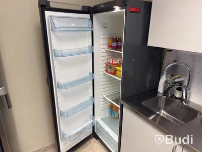 Electrolux ERE38403X Refrigerator