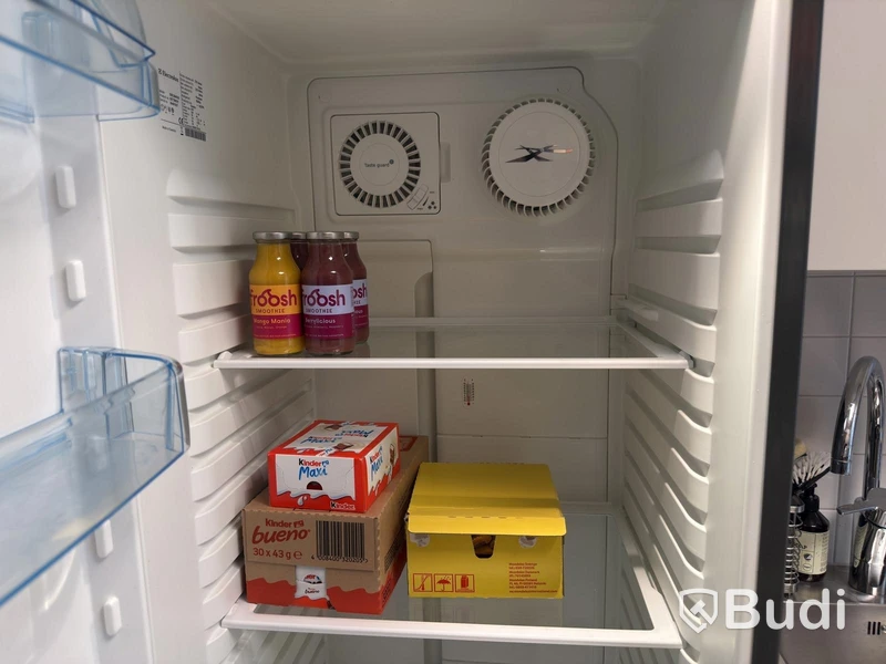 Electrolux ERE38403X Refrigerator