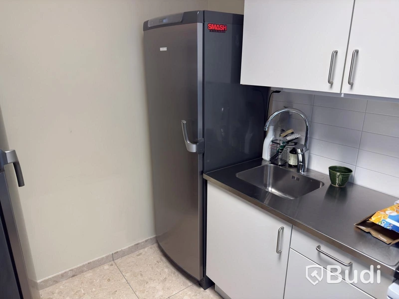 Electrolux ERE38403X Refrigerator