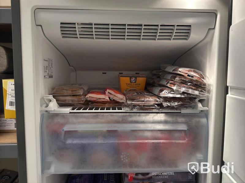 Frysskåp Electrolux EUF29403X
