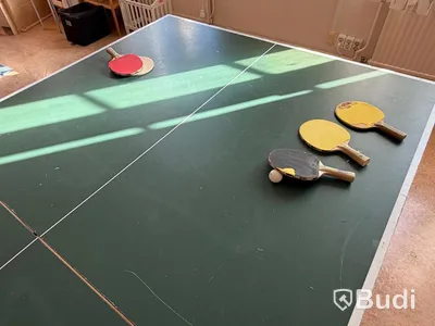 Pingisbord, utan nät, Stiga