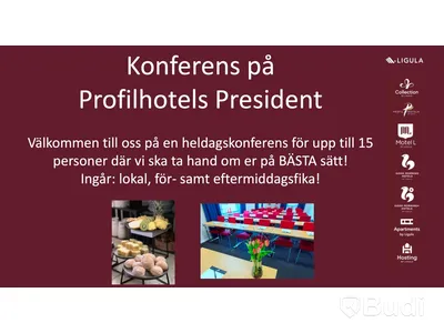 Conference at Profil Hotels President for 15 people