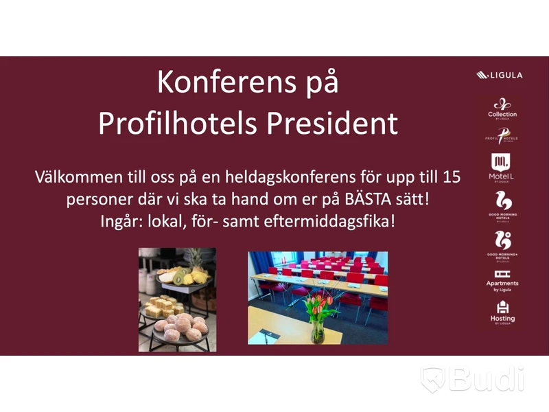 Conference at Profil Hotels President for 15 people