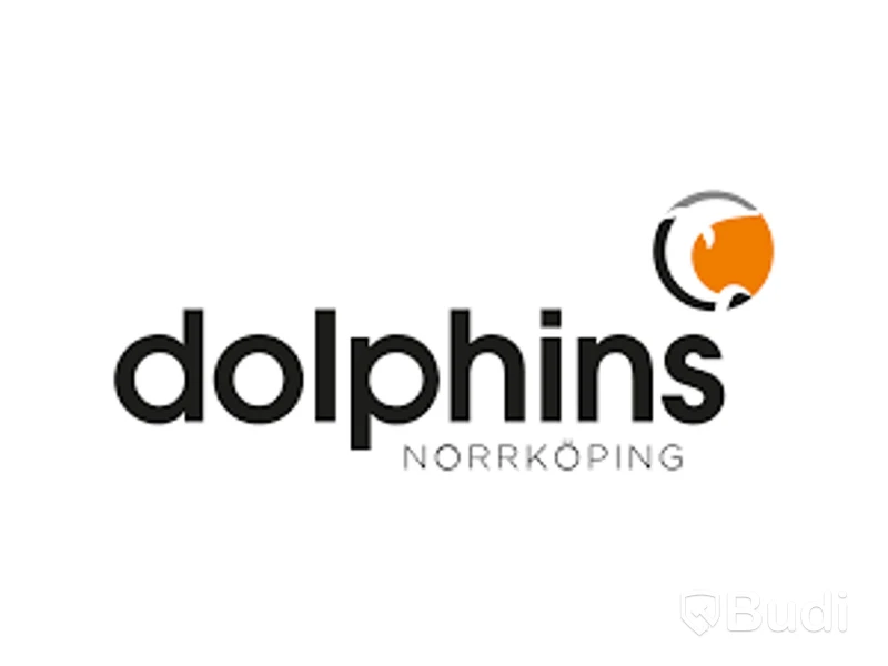 VIP-bord på Dolphins match med entré och trerätters middag, 4 pers