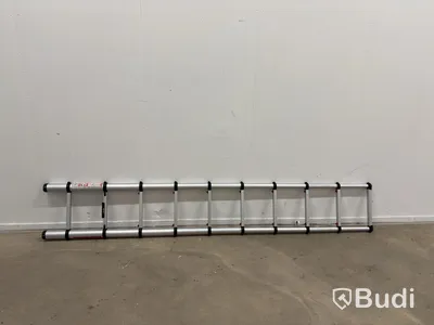 TeleSteps telescopic ladder