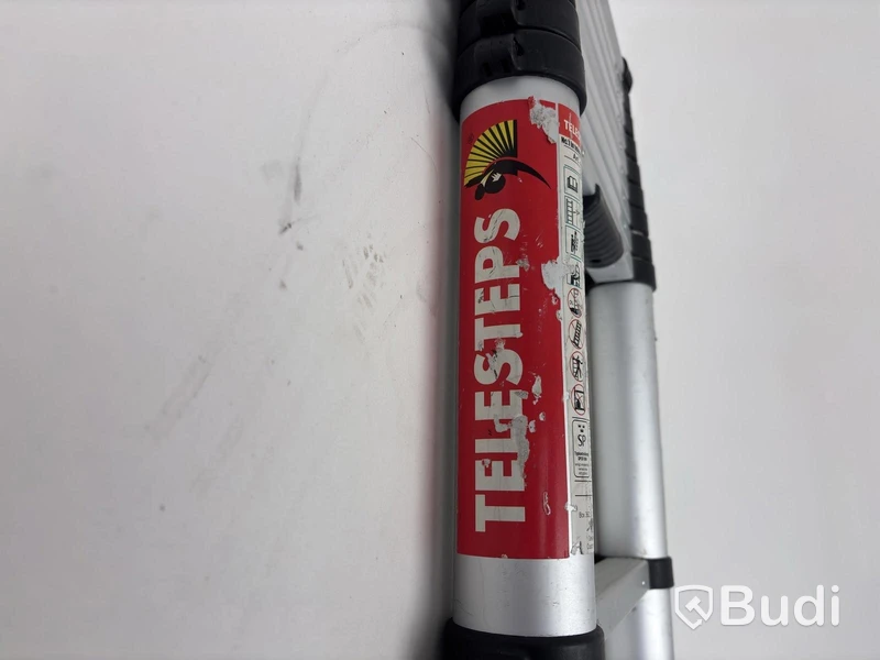 TeleSteps telescopic ladder