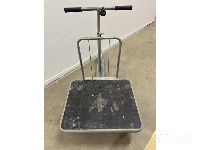 Ergobjörn Cargo Kick Scooter
