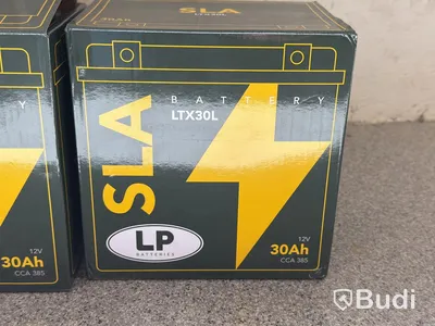 LP Batteries LTX30L batteries, 12 V 30 Ah, 2 pcs