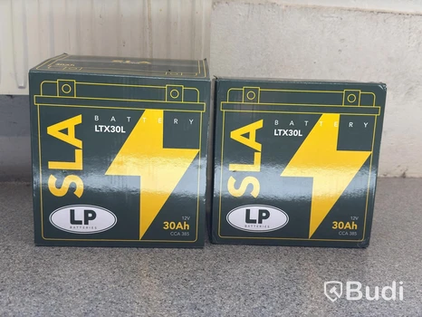 Batteri LP Batteries LTX30L, 12V 30Ah, 2 st