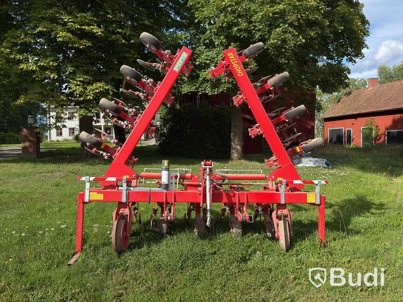 Row hoe Einböck Chopstar EGS 12-Rows | 2020