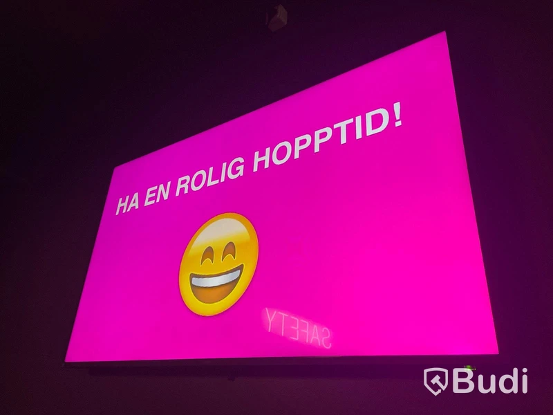 Bildskärm Phillips 55 tum