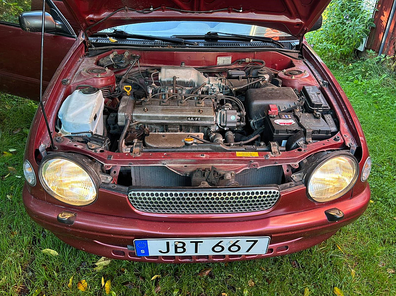 Bild 17
