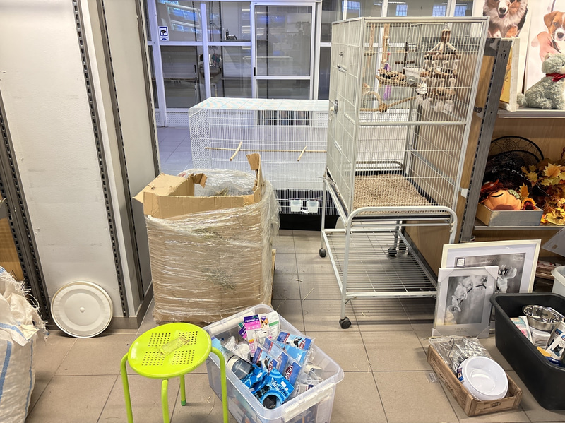 Bild 6