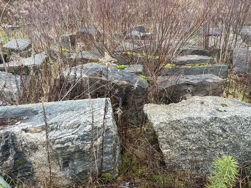 Bild 62