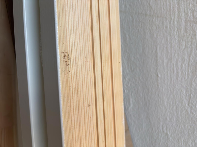 2 Door Frames