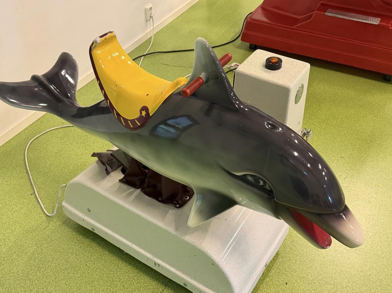 Åkattraktion Falgas, Delfin