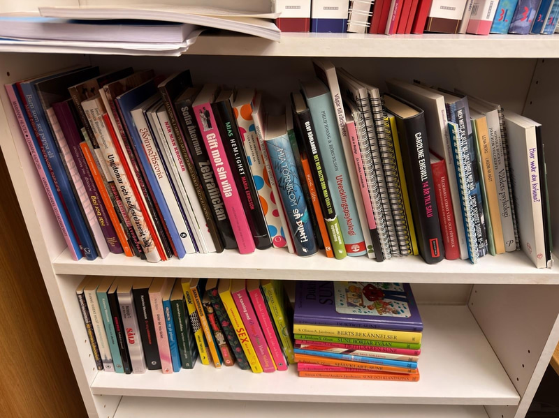 Bookcase with assorted non-fiction books