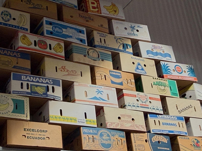 Collection of banana boxes (large lot)