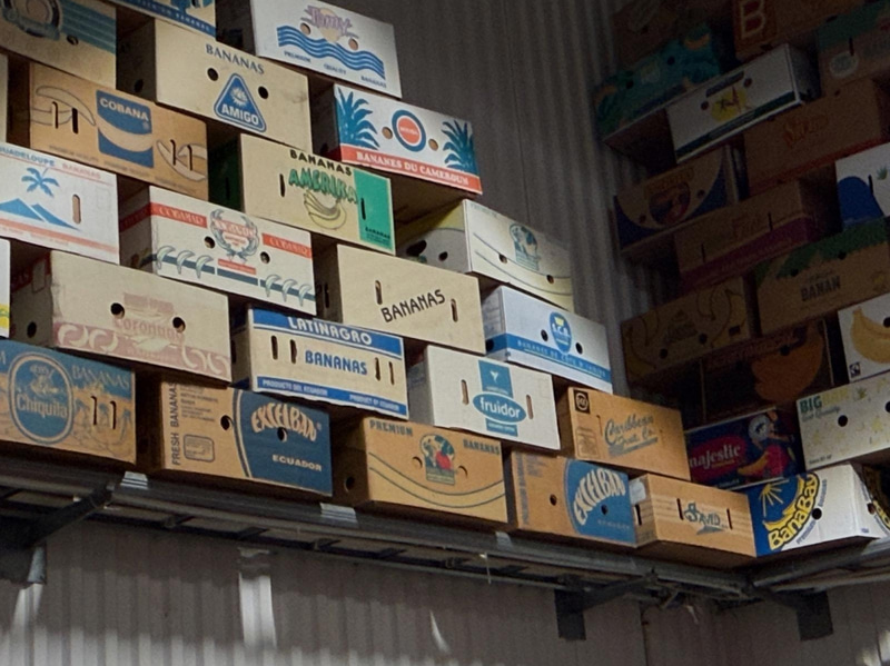 Collection of banana boxes (large lot)
