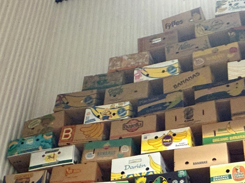 Collection of banana boxes (large lot)