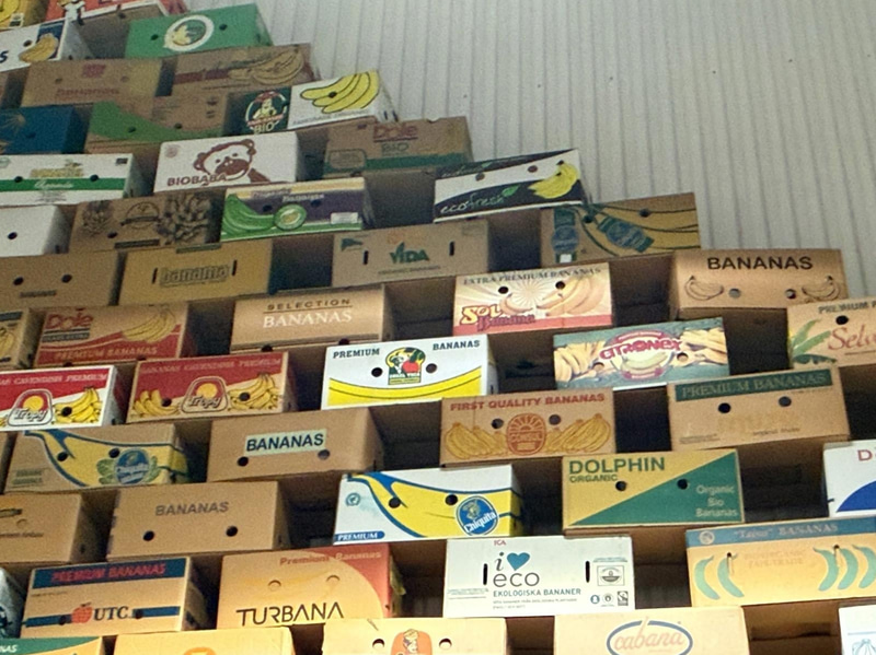 Collection of banana boxes (large lot)