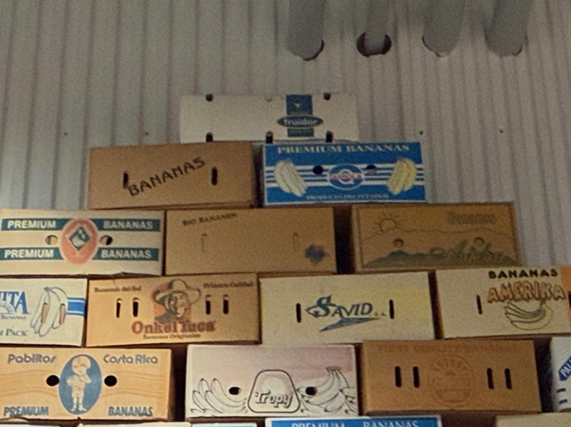 Collection of banana boxes (large lot)