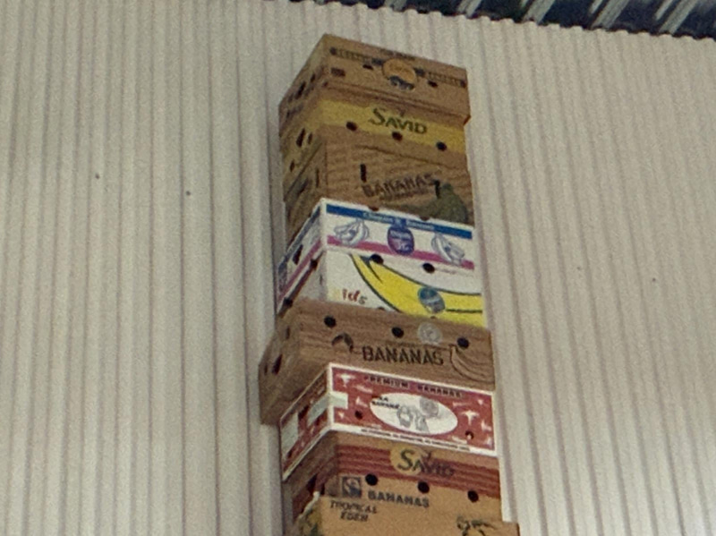 Collection of banana boxes (large lot)