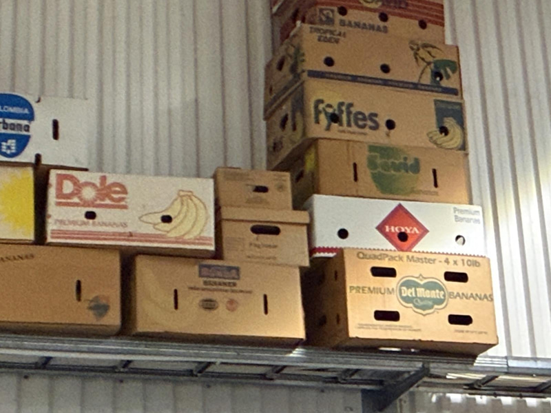 Collection of banana boxes (large lot)