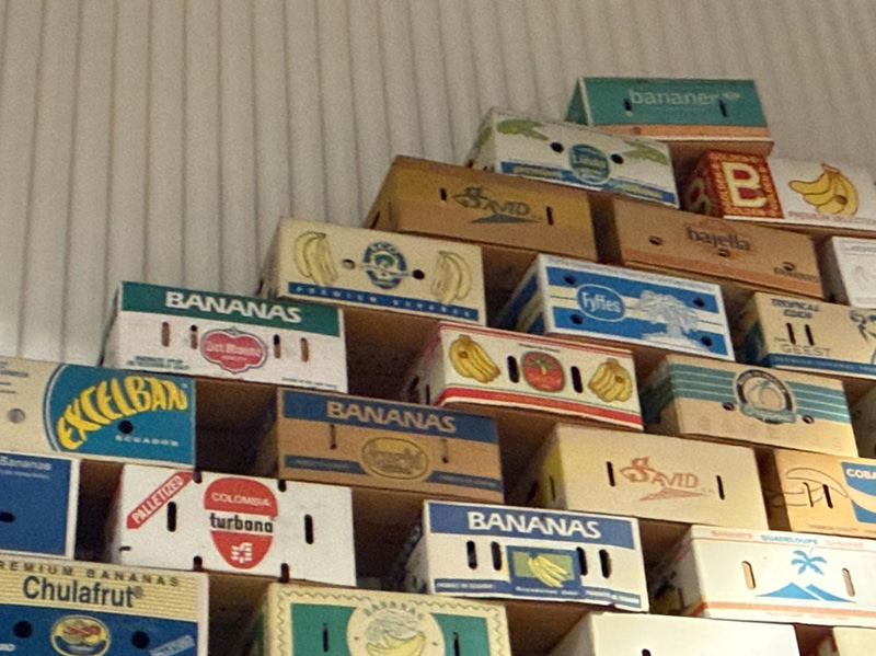 Collection of banana boxes (large lot)