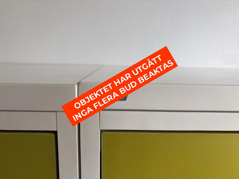 2 Vican document cabinets