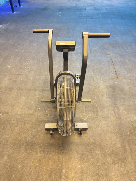 Rogue Echo Bike