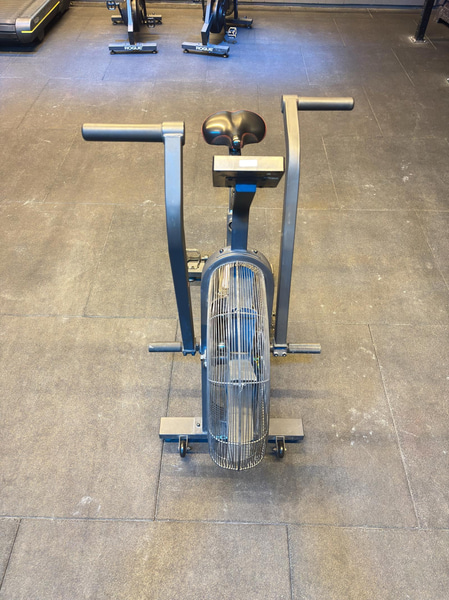 Echo Bike, Rogue