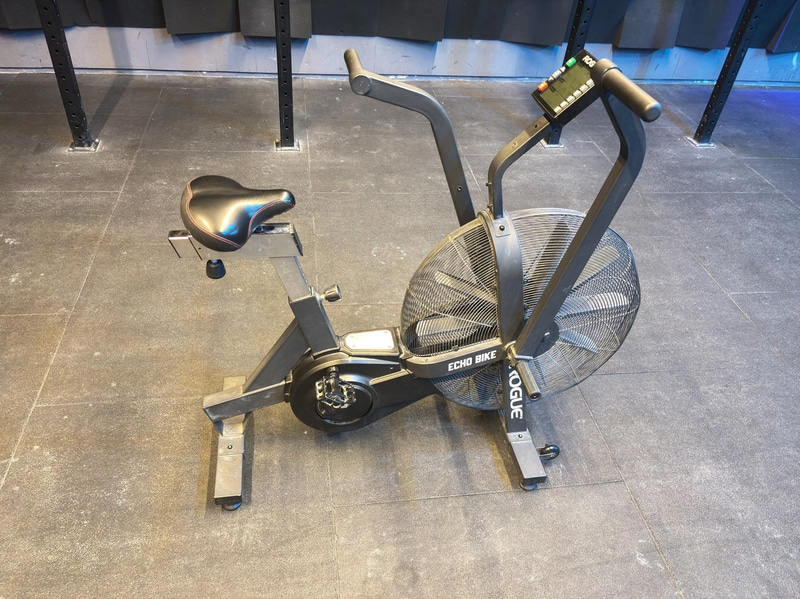 Echo Bike, Rogue