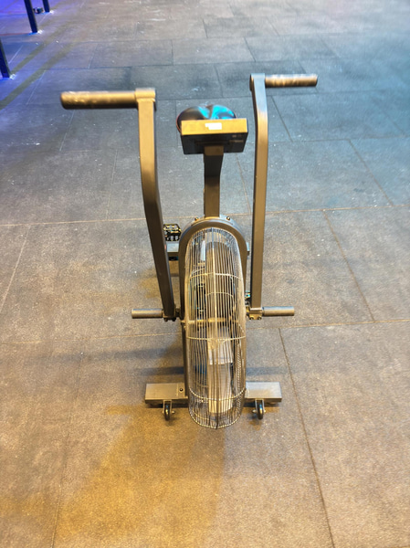 Echo Bike, Rogue